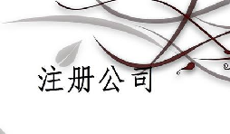 注冊公司為什么推薦找代理注冊公司的機(jī)構(gòu)呢？
